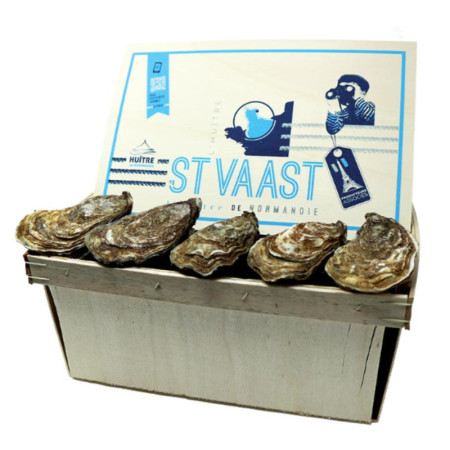 Oyster St Vaast Normandy Oyster N°2