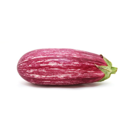Eggplant Aubergine Graffiti Melanzane Striate