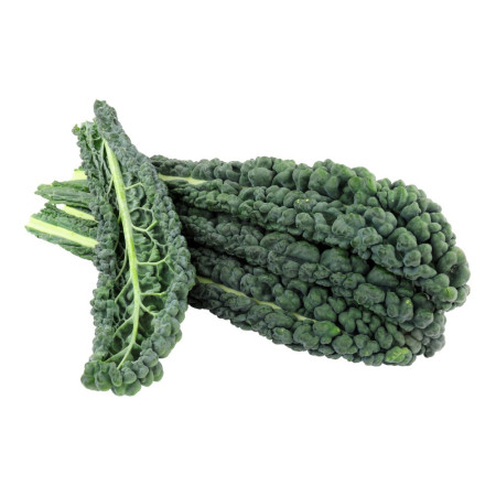 Black Tuscany Cabbage Cavolo Nero