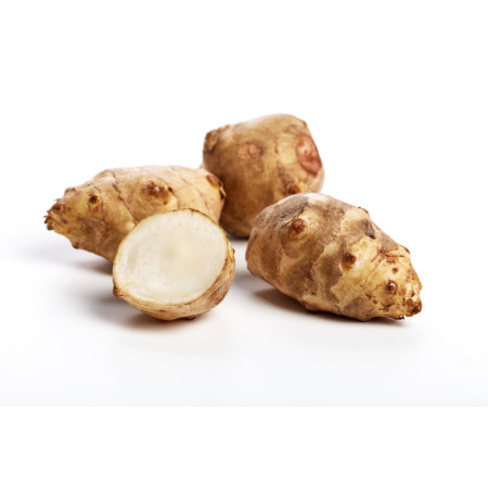 Jerusalem Artichoke Topinambour
