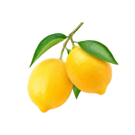 Lemons Calabria With Leaves Limoni Con Foglia Calabria
