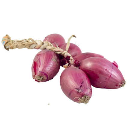 Onion Fresh Spring Red Tropea Cipollotto Rosso Tropea