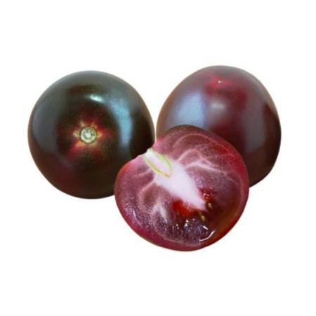 Tomato Black Camone Pomodoro Camone Nero