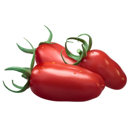 Tomato San Marzano Pomodoro San Marzano