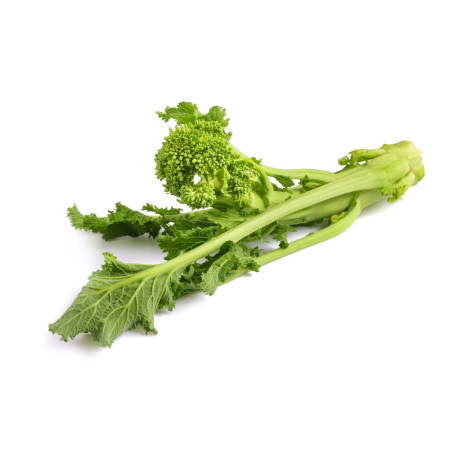 Top Turnip Green Cime Di Rapa