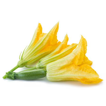 Zucchini Flower Blossom