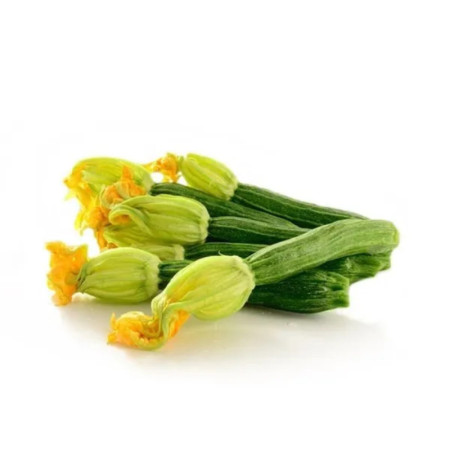 Zucchine Light Green Romanesche  With Flower Zucchine Chiare Con Fiore