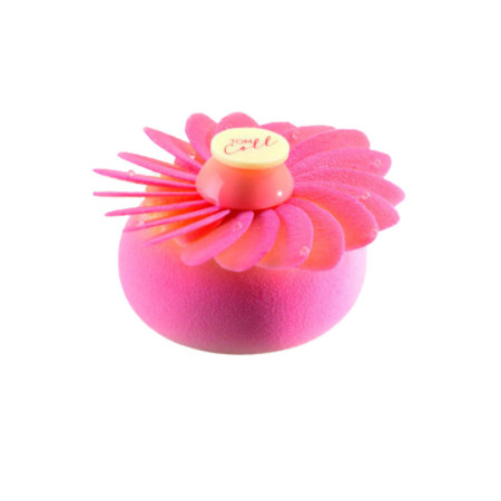 Mould Silicone Palet