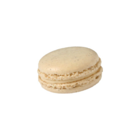 Macaron Coconut