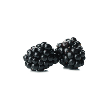 Blackberries Fruits
