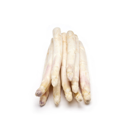 Asparagus White From Loire 22/26