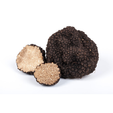 Truffle Whole Summer