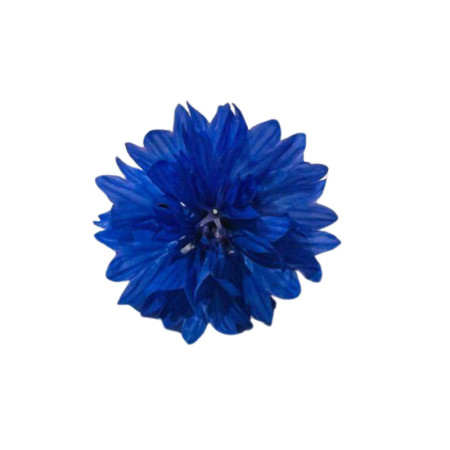 Edible Flower Assorted Corn Flower