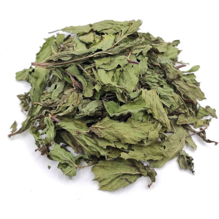 Premium Collection Refreshing Mint Tea Bags