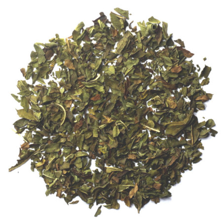Peppermint Loose Leaf Tea