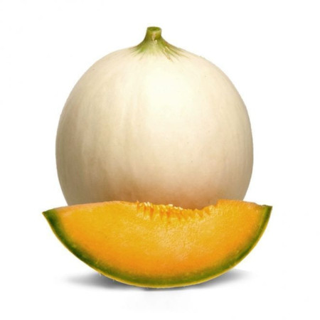 Honeymoon Sweet Melon