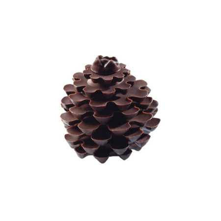 Blister Pomme De Pin 108 Imprints For 12 Pcs
