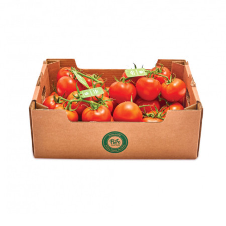 Tomatoes Red on Vine