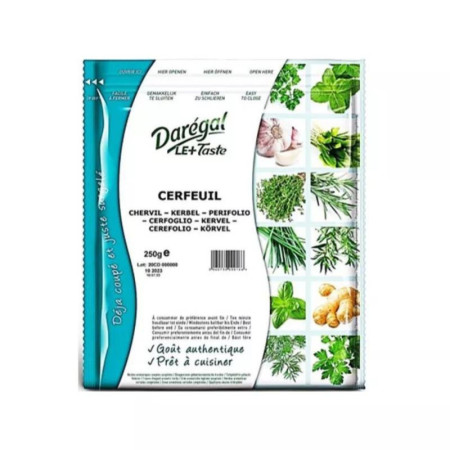 Coriander