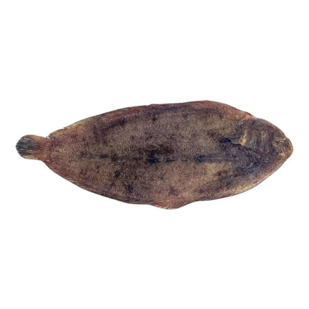 Dover Sole S/On Wild Whole Gutted 600-800 Gr/ Pc