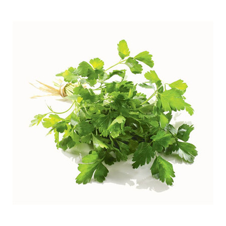 Parsley
