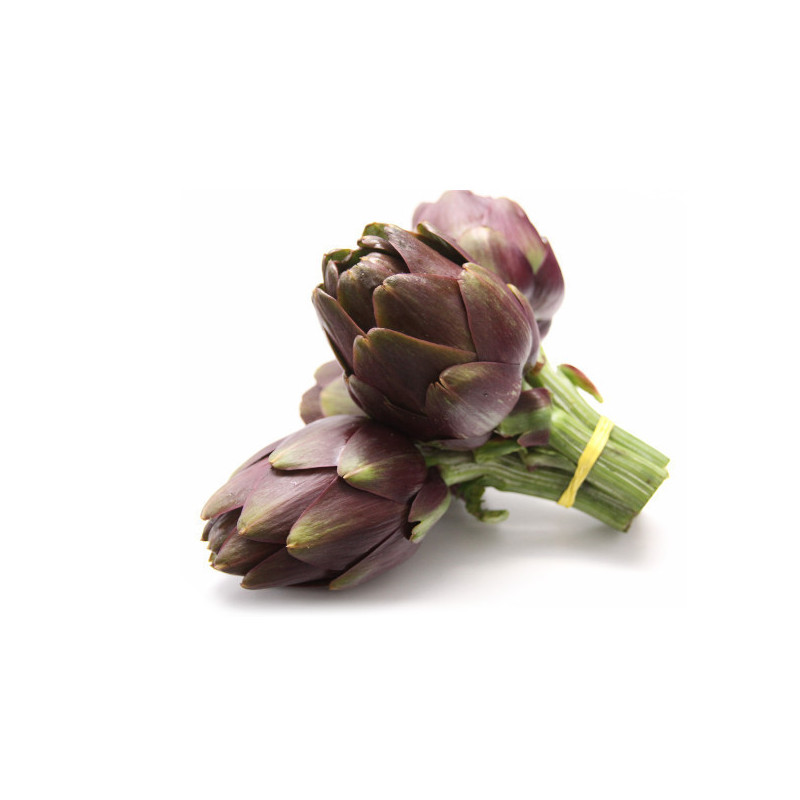Baby Purple Artichoke