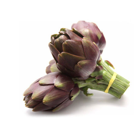 Baby Purple Artichoke