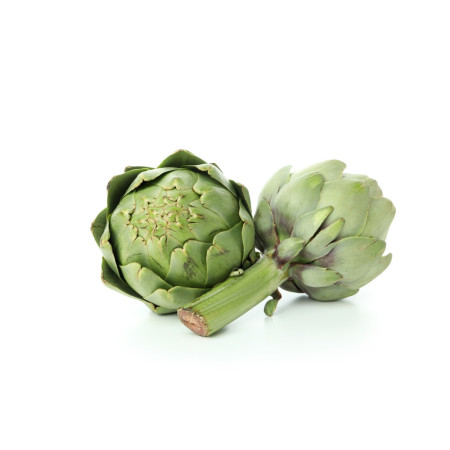 Globe Artichoke