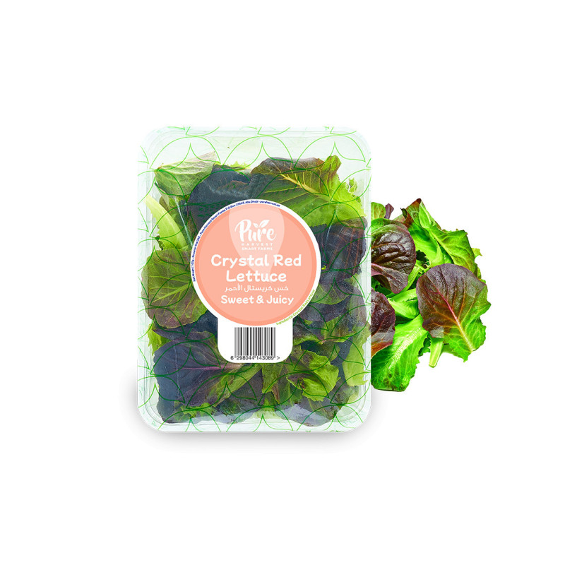 Crystal Red Lettuce