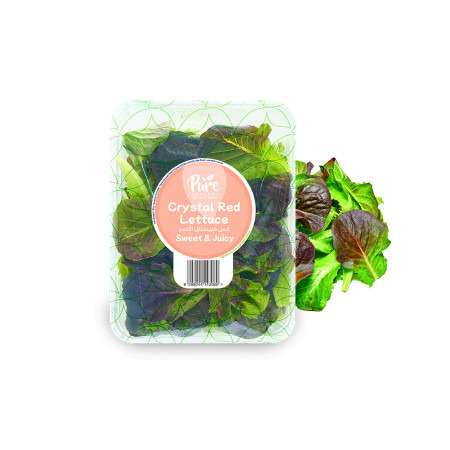 Crystal Red Lettuce