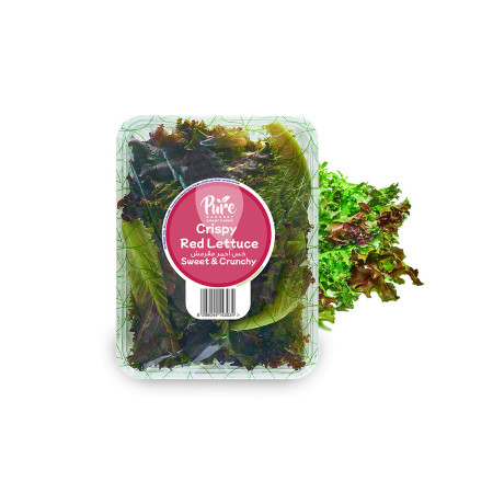 Crispy Red Lettuce