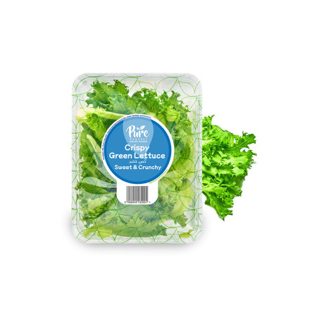 Crispy Green Lettuce