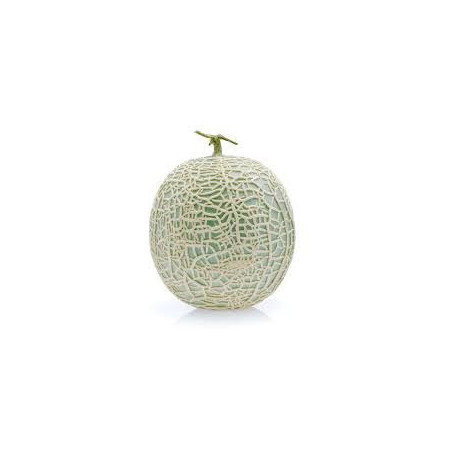 Melon Marakaito