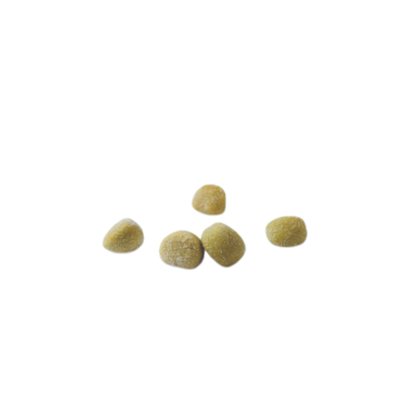 Gnocchetti Peas