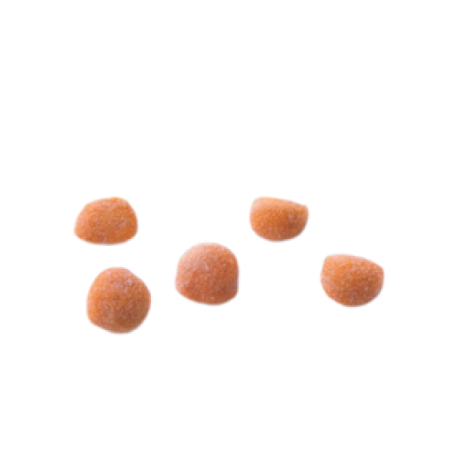 Gnocchetti Red Lentil