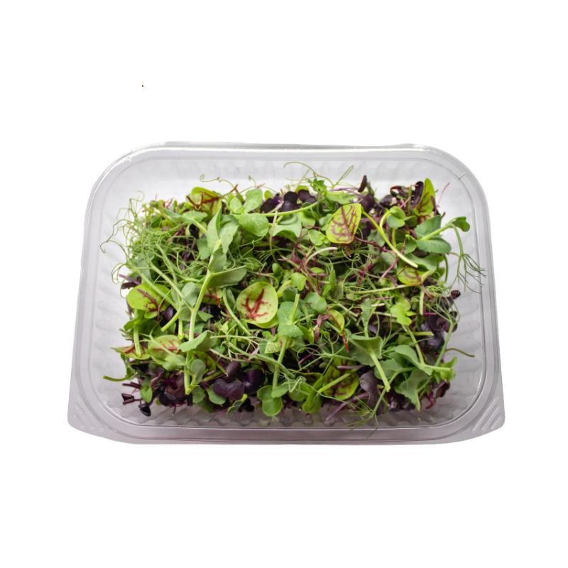 Salad Rainbow Mix