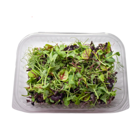 Salad Rainbow Mix