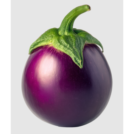 Eggplant Round