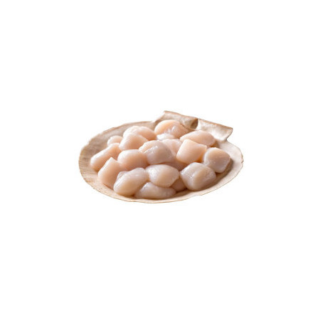 Scallops Meat