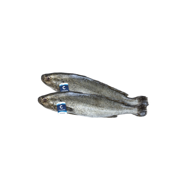Meager Fish