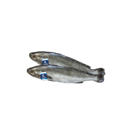 Meager Fish