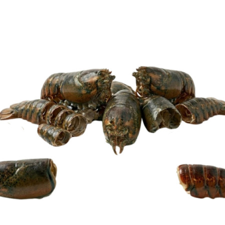 Lobster Canadian Raw Head Carcas Bodies