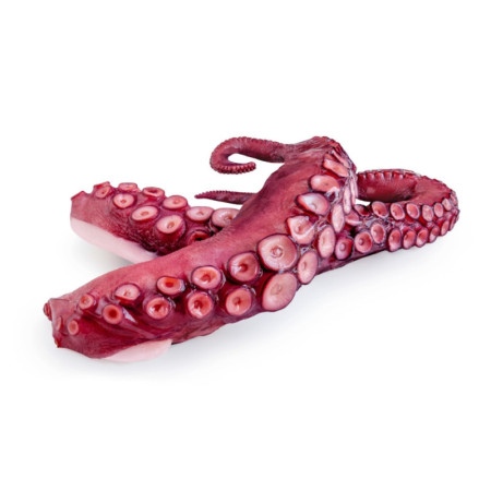 Octopus Tentacles/Cooked