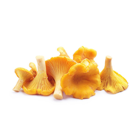 Chanterelles/ Girolles 1-3