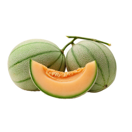 Melon - Retato Lorenzini