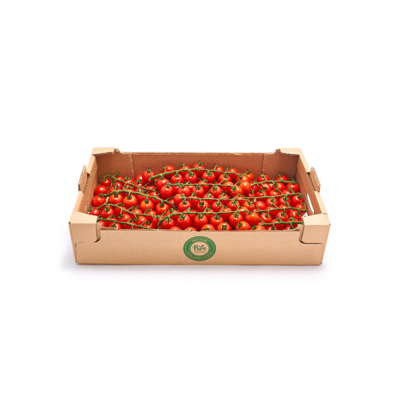 Cherry Tomatoes Vine