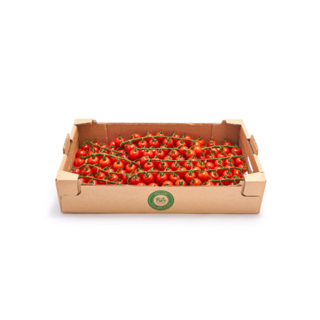 Cherry Tomatoes Vine