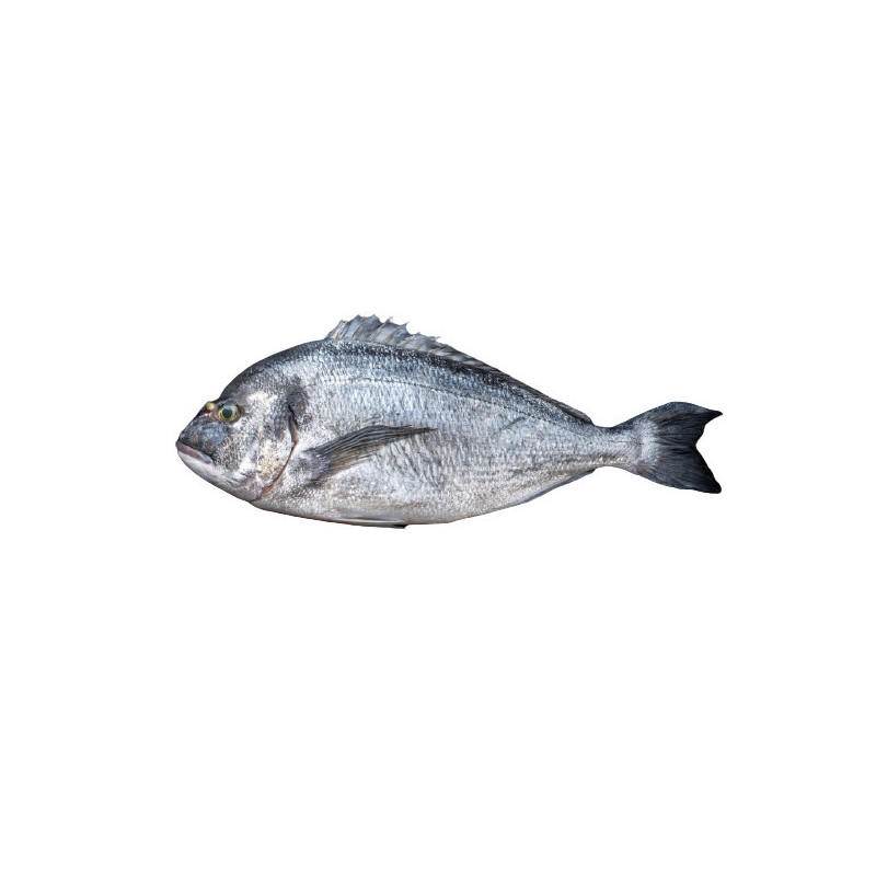 Seabream Whole Farmed