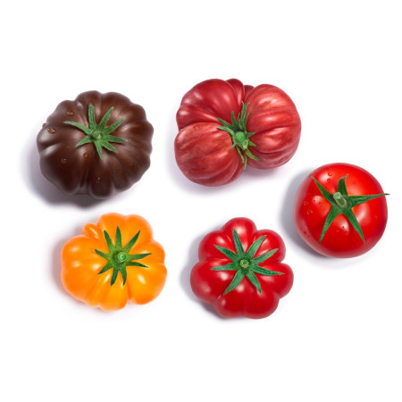 Tomato Heirloom Provence