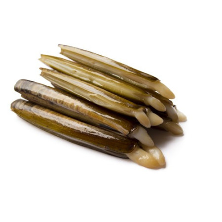 Razor clams live